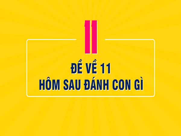 đề về 11